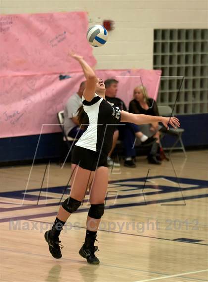 Thumbnail 2 in Pomona @ Ralston Valley photogallery.