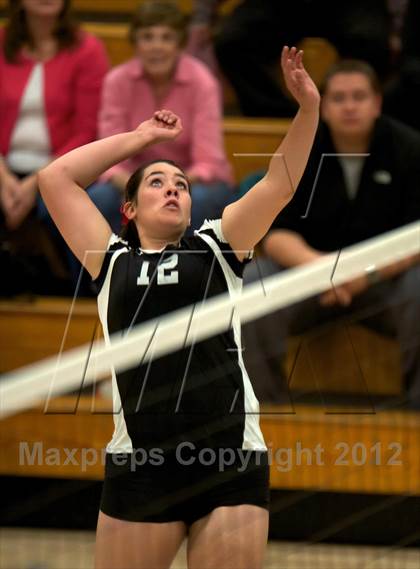 Thumbnail 3 in Pomona @ Ralston Valley photogallery.