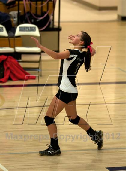 Thumbnail 3 in Pomona @ Ralston Valley photogallery.