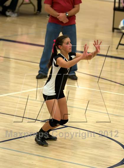 Thumbnail 1 in Pomona @ Ralston Valley photogallery.