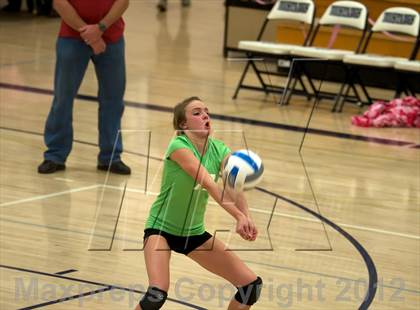 Thumbnail 1 in Pomona @ Ralston Valley photogallery.