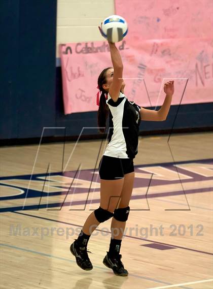 Thumbnail 1 in Pomona @ Ralston Valley photogallery.