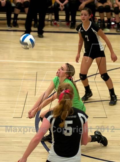 Thumbnail 2 in Pomona @ Ralston Valley photogallery.