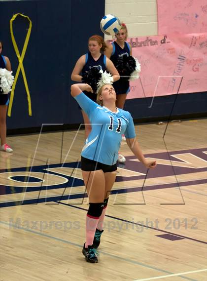 Thumbnail 2 in Pomona @ Ralston Valley photogallery.