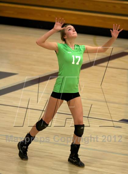 Thumbnail 2 in Pomona @ Ralston Valley photogallery.