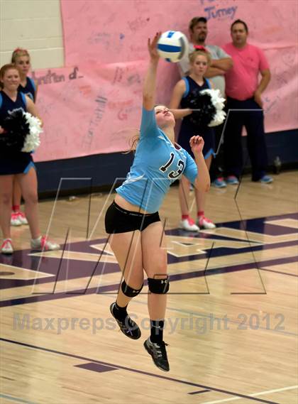 Thumbnail 1 in Pomona @ Ralston Valley photogallery.