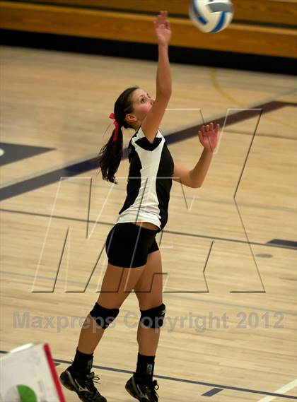 Thumbnail 2 in Pomona @ Ralston Valley photogallery.