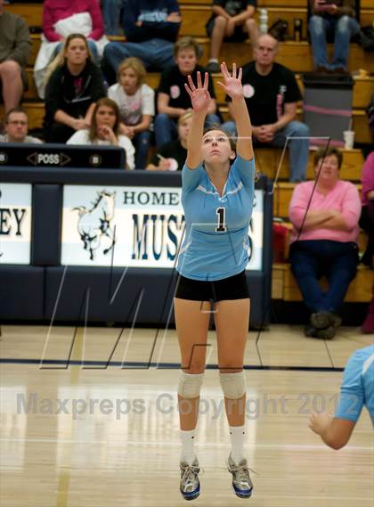 Thumbnail 2 in Pomona @ Ralston Valley photogallery.