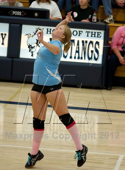 Thumbnail 3 in Pomona @ Ralston Valley photogallery.