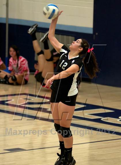Thumbnail 1 in Pomona @ Ralston Valley photogallery.