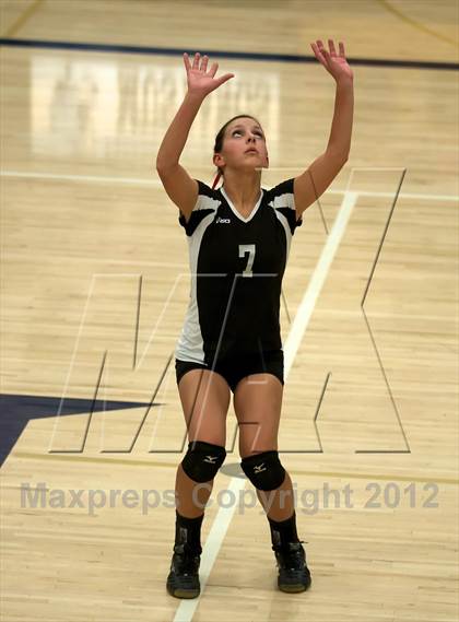 Thumbnail 3 in Pomona @ Ralston Valley photogallery.