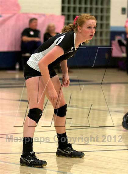 Thumbnail 2 in Pomona @ Ralston Valley photogallery.
