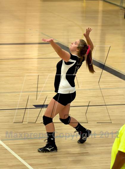Thumbnail 3 in Pomona @ Ralston Valley photogallery.