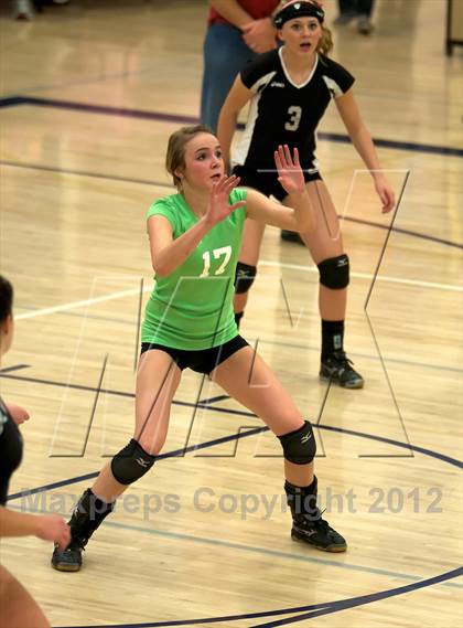 Thumbnail 2 in Pomona @ Ralston Valley photogallery.