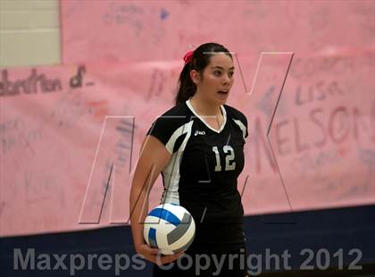 Thumbnail 3 in Pomona @ Ralston Valley photogallery.