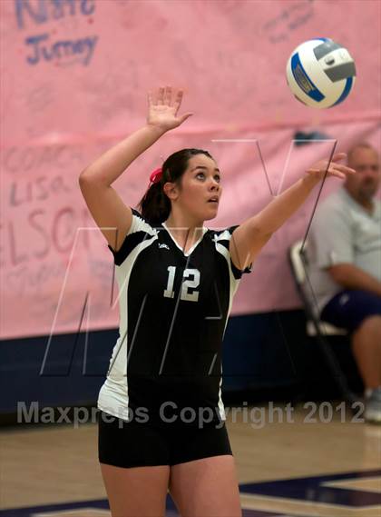 Thumbnail 2 in Pomona @ Ralston Valley photogallery.