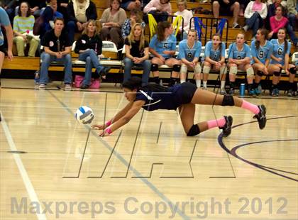 Thumbnail 2 in Pomona @ Ralston Valley photogallery.