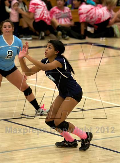 Thumbnail 2 in Pomona @ Ralston Valley photogallery.
