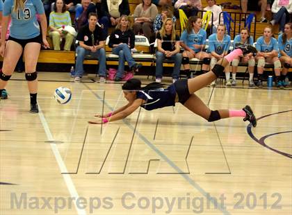 Thumbnail 3 in Pomona @ Ralston Valley photogallery.