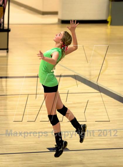 Thumbnail 3 in Pomona @ Ralston Valley photogallery.