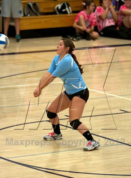 Thumbnail 3 in Pomona @ Ralston Valley photogallery.