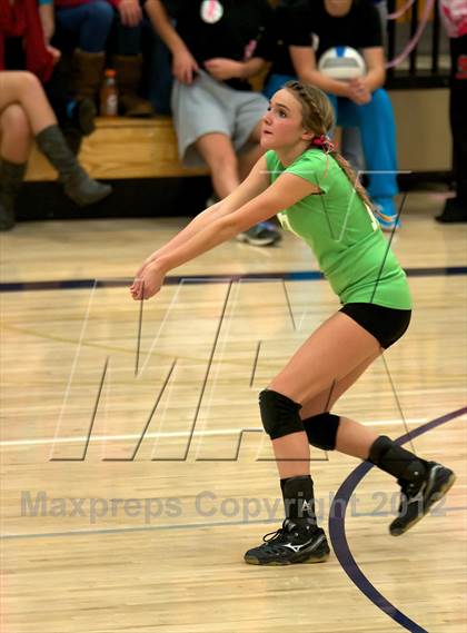 Thumbnail 3 in Pomona @ Ralston Valley photogallery.