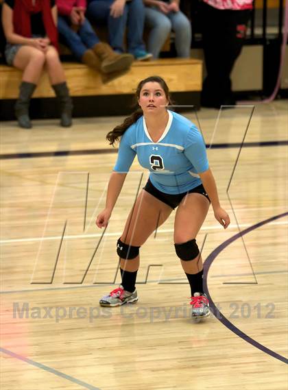 Thumbnail 1 in Pomona @ Ralston Valley photogallery.