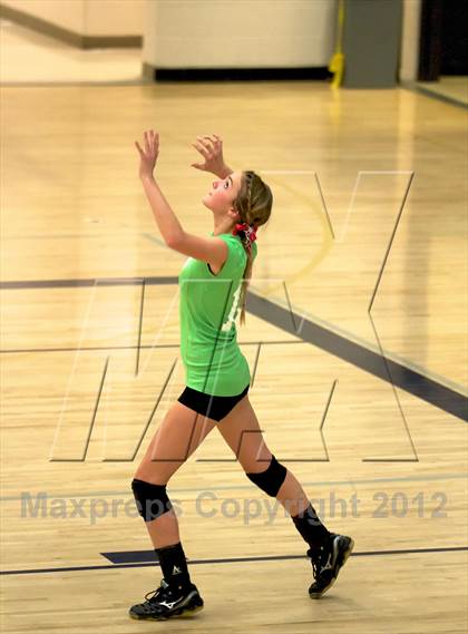 Thumbnail 2 in Pomona @ Ralston Valley photogallery.