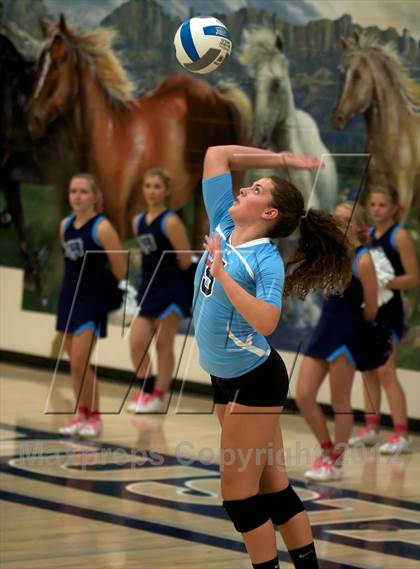 Thumbnail 2 in Pomona @ Ralston Valley photogallery.