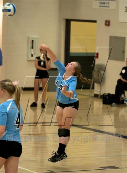 Thumbnail 2 in Pomona @ Ralston Valley photogallery.