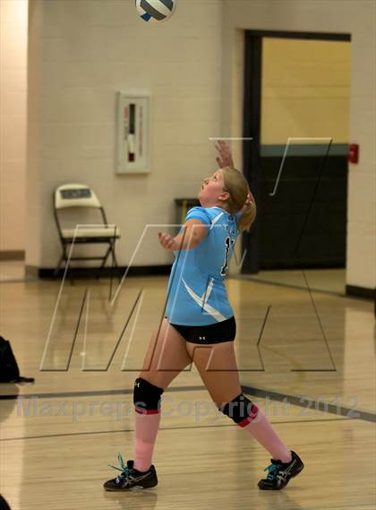 Thumbnail 3 in Pomona @ Ralston Valley photogallery.