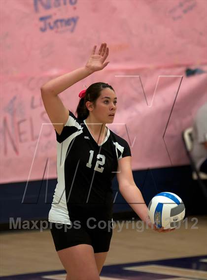 Thumbnail 1 in Pomona @ Ralston Valley photogallery.