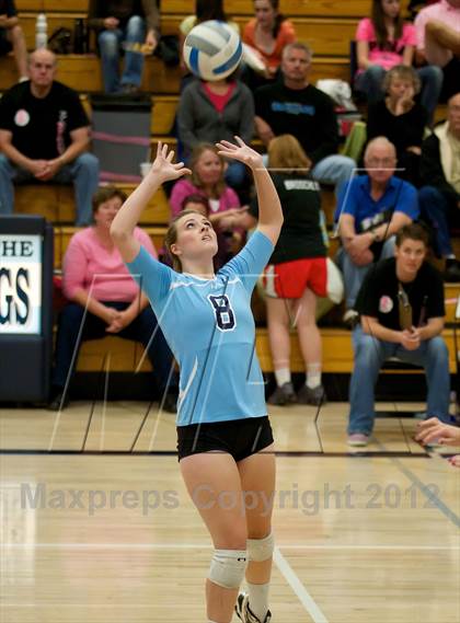 Thumbnail 1 in Pomona @ Ralston Valley photogallery.