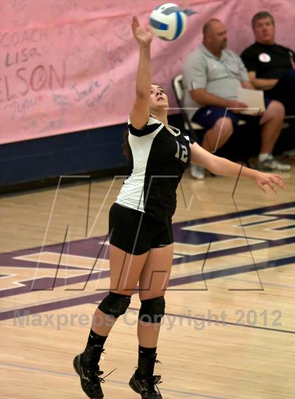 Thumbnail 2 in Pomona @ Ralston Valley photogallery.
