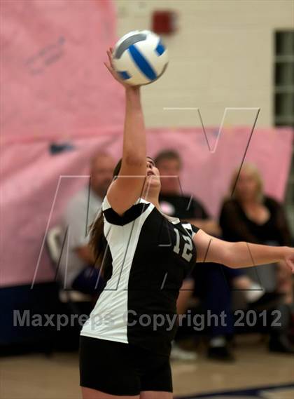 Thumbnail 3 in Pomona @ Ralston Valley photogallery.
