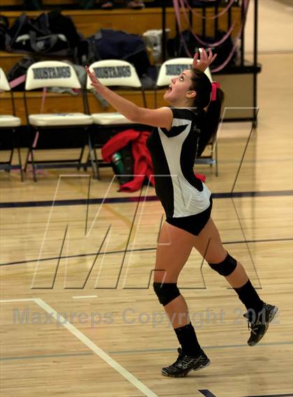 Thumbnail 1 in Pomona @ Ralston Valley photogallery.