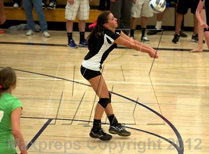 Thumbnail 3 in Pomona @ Ralston Valley photogallery.