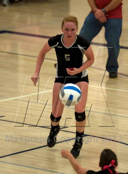 Thumbnail 1 in Pomona @ Ralston Valley photogallery.