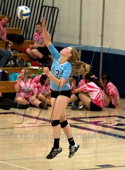 Thumbnail 3 in Pomona @ Ralston Valley photogallery.