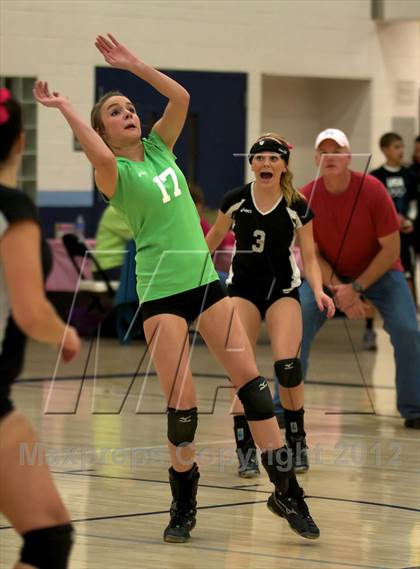 Thumbnail 3 in Pomona @ Ralston Valley photogallery.