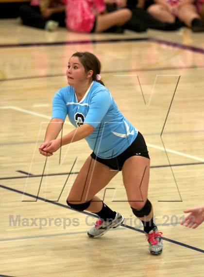 Thumbnail 1 in Pomona @ Ralston Valley photogallery.