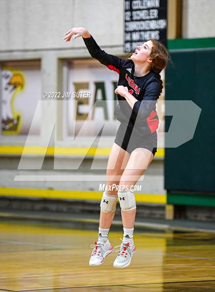 Thumbnail 1 in Lexington vs Lorena photogallery.