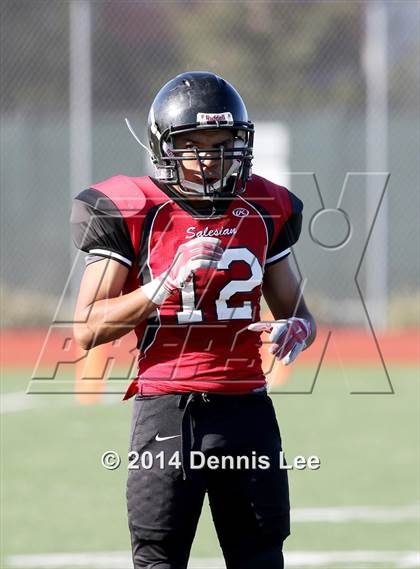 Thumbnail 1 in St. Vincent de Paul @ Salesian College Preparatory (CIF NCS D5 Playoffs) photogallery.