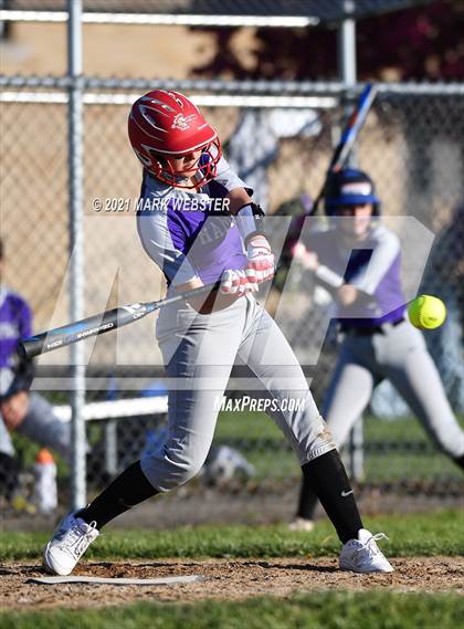 Thumbnail 3 in Orchard Park @ Hamburg photogallery.