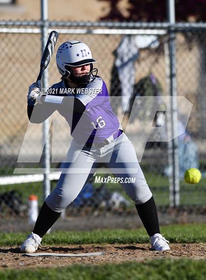 Thumbnail 2 in Orchard Park @ Hamburg photogallery.