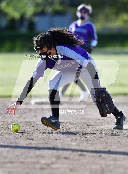 Thumbnail 1 in Orchard Park @ Hamburg photogallery.