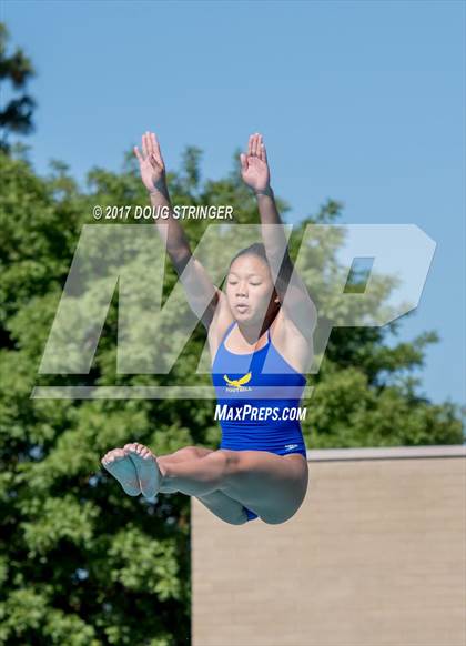 Thumbnail 3 in CIF State Girls Diving Championships photogallery.