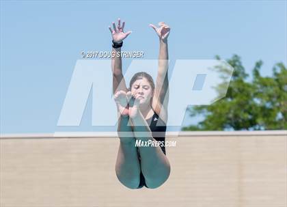 Thumbnail 3 in CIF State Girls Diving Championships photogallery.