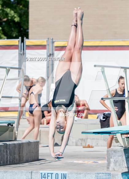 Thumbnail 1 in CIF State Girls Diving Championships photogallery.