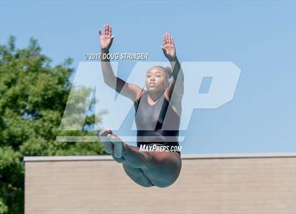 Thumbnail 1 in CIF State Girls Diving Championships photogallery.